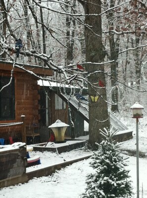 Winter at Koi Cottage