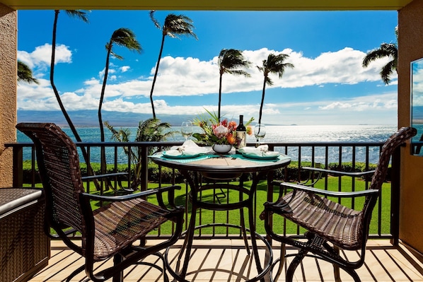 View from the Lanai