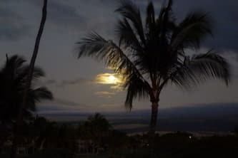 Vista Waikoloa Penthouse With Privacy And Wonderful Views