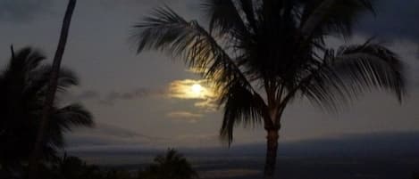 Moon from our lanai