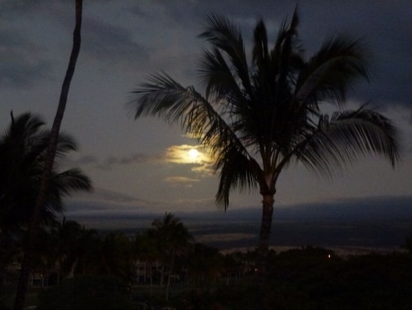 Moon from our lanai