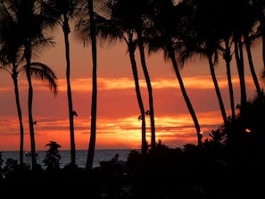 Sunset A Bay, Lava Lava restaurant