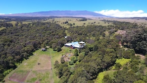 Looking Makai toward Mauna Kea