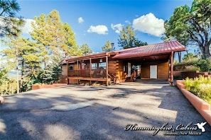 Cabin on the Mountain, steep driveway but breath taking views. Covered carport.