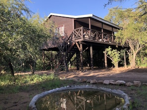 Lodge overlooking a watering hole