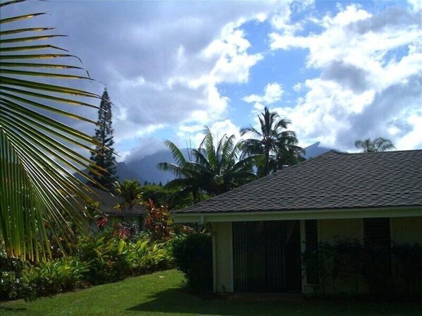 Views of the mountains from the back garden