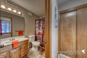 Lower level guest bathroom.