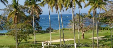 This the view from the veranda of this beautiful home!