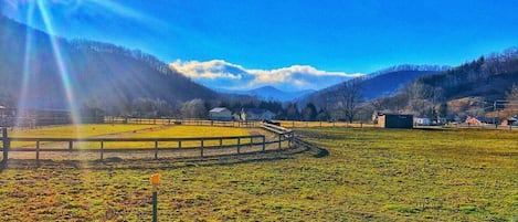 The view from the entrance to the property. 