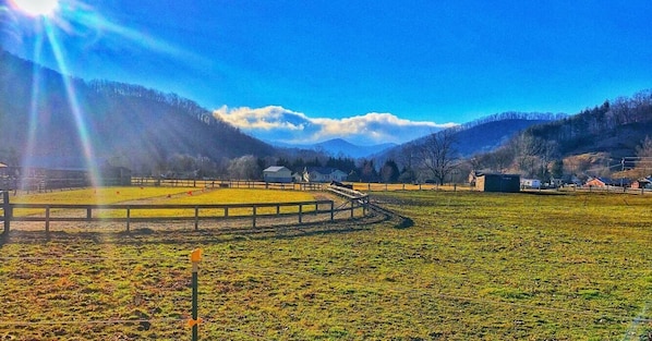 The view from the entrance to the property. 