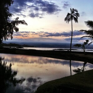 A few seconds walk across the street, beautiful sunset view taken with an iphone