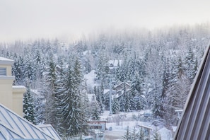 Vue depuis l’hébergement
