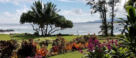 View from your lanai of the meticulous grounds at Lae Nani, on the Wailua Bay.