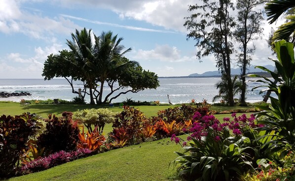 View from your lanai of the meticulous grounds at Lae Nani, on the Wailua Bay.