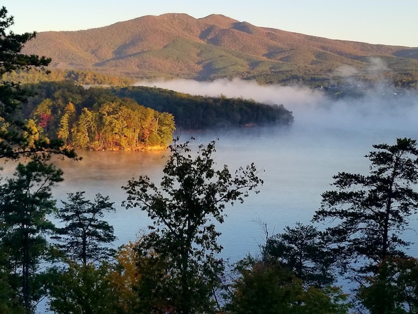 Morning view