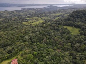 Aerial View of Lake Arenal.