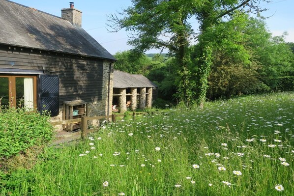 Wildflower meadow at West Huckham Barn
