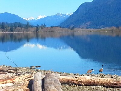Lake Quinault Vacation Home/Breathtaking View! Located in Olympic National Park