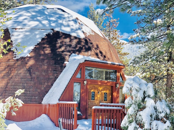 Background of blue skies and a snowy white blanket! 