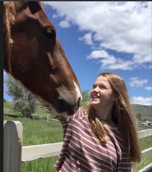 horses nearby