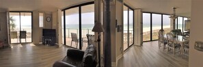 Walls of Windows-Living and Dining Room