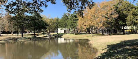 House & Bunkhouse on 21 acres with trails to walk. Sleeps 16! Fishing pond too!