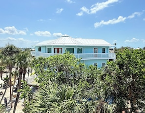 Nestled in with tons of palm trees. This is the new paint color More pics coming