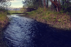 Creek on Property