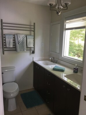 Master bath with double sink and plenty of storage.