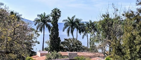 View of Beautiful Lake Chapala From Two Rooftop Miradors