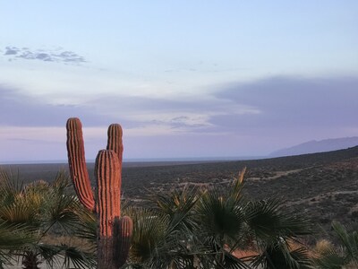 Bay of Dreams, 4 Bedroom - Bahia de los Sueños, (Muertos) Baja Sur Calif, Mx