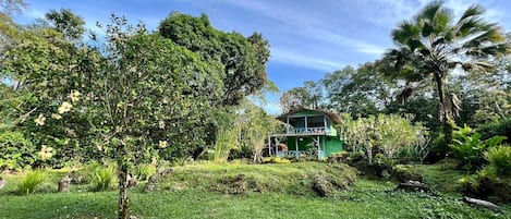 View of the house from the large yard ( over 1/3 an acre ).