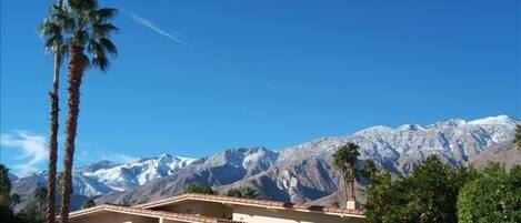 Palm Spring's best neighborhood.  Full sun and mountain views, non-windy area.