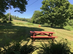 Terrain de l’hébergement 