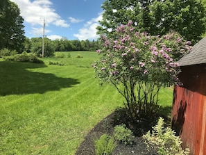 View of upper field