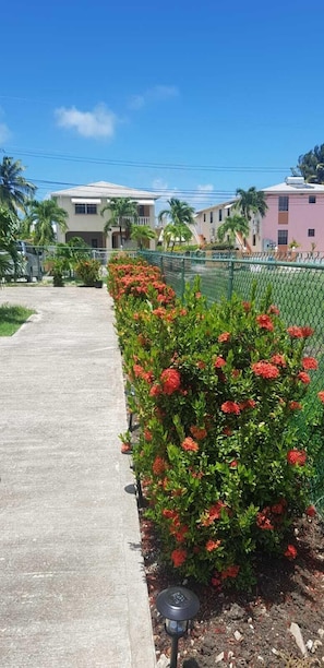 Garden area.