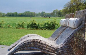 area