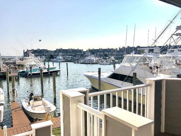 View from Downstairs Balcony