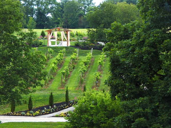 View of the vinyards and gardens