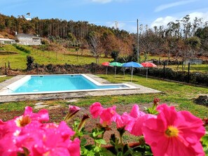Swimming pool view