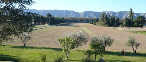 vue sur les Alpilles depuis le gîte