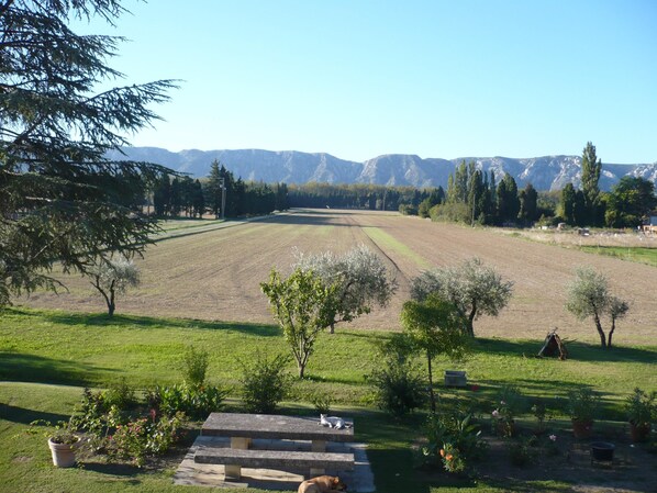 vue sur les Alpilles depuis le gîte