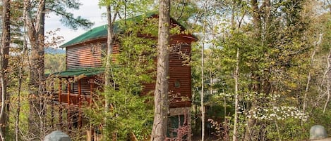 3 level western cedar log home on the Broad river with long range views