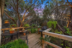 Your deck is embedded into a cedar and oak forest.  Grill out or sit and relax
