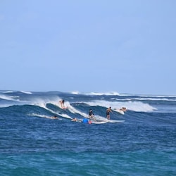 Surfers' paradise