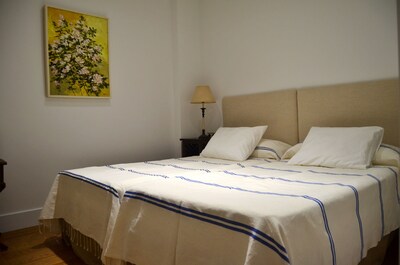 GREAT APARTMENT IN CASCO ANTIGUO