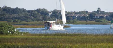 spot the egrets?