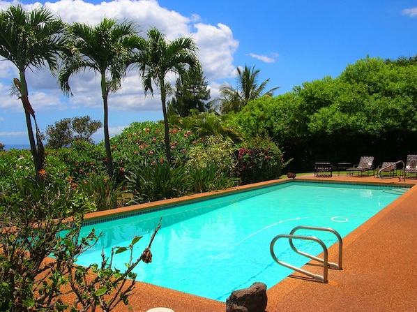 Pool view looking North West