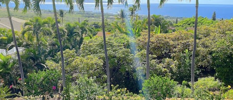 West towards Molokini mid-afternoon