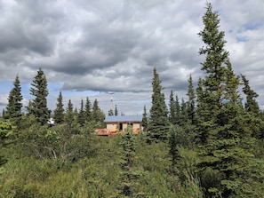 View of the cabin from the 'front' yard. 
